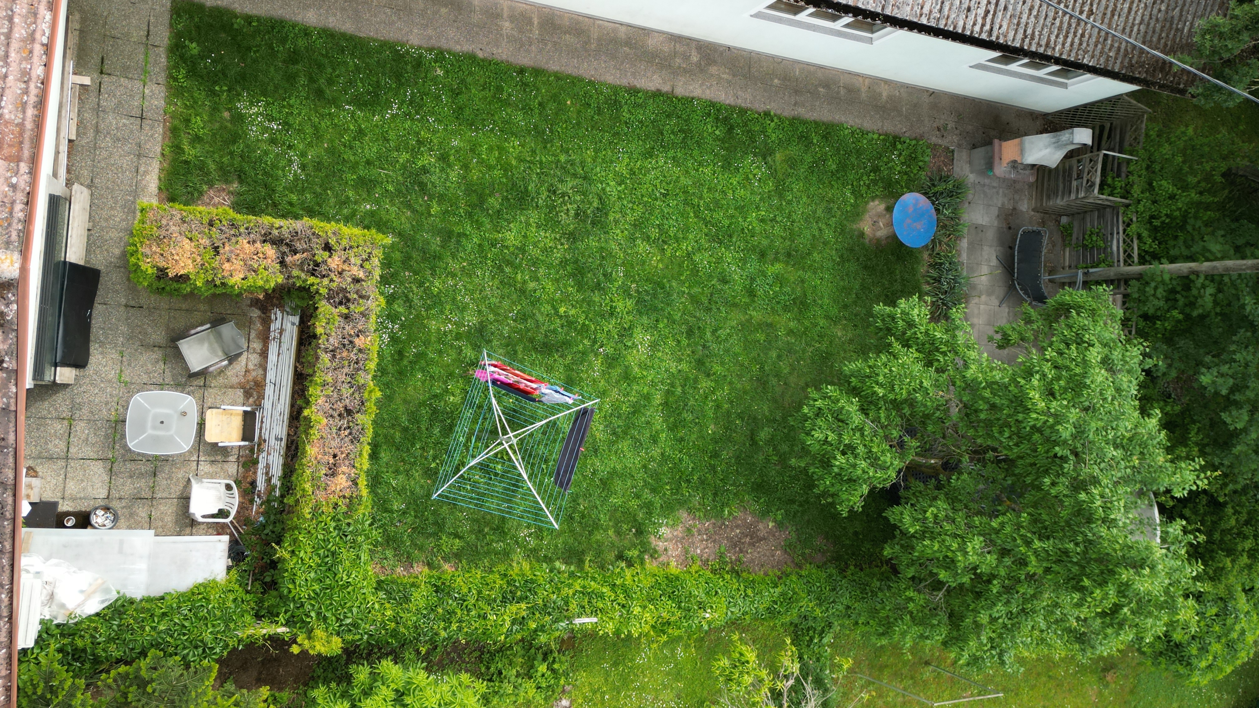 Luftaufnahme des Gemeinschaftsgartens der AM Immobilien mit Rasenfläche, Sitzbereich und Bäumen